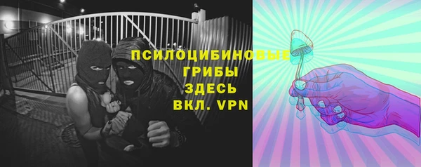 ПСИЛОЦИБИНОВЫЕ ГРИБЫ Абдулино