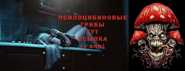 ПСИЛОЦИБИНОВЫЕ ГРИБЫ Абдулино