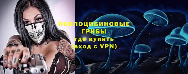 ГАЛЛЮЦИНОГЕННЫЕ ГРИБЫ Алексин